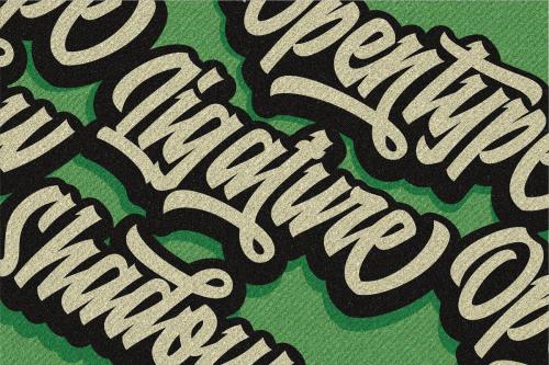 Raydric Script Font 2