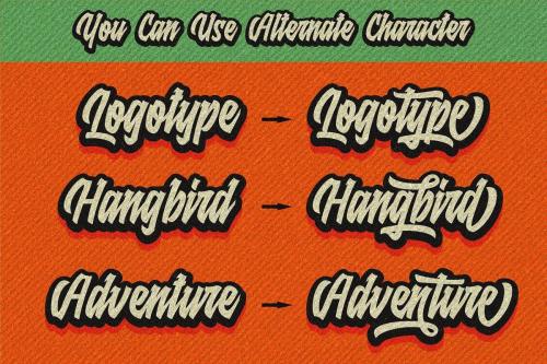 Raydric Script Font 3