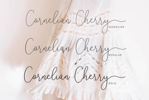 Reading Signature Font Free Download 6