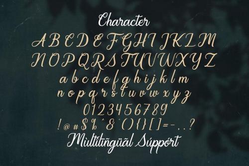 Regalhisa Calligraphy Script Font 13