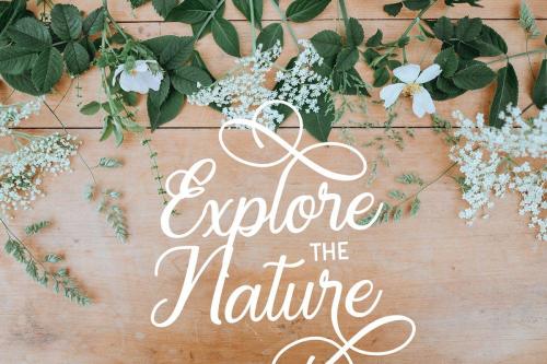 Regalhisa Calligraphy Script Font 4