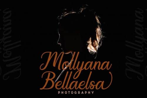 Regalhisa Calligraphy Script Font 7