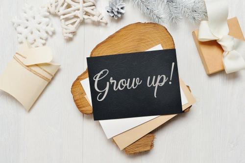 Regalhisa Calligraphy Script Font 9