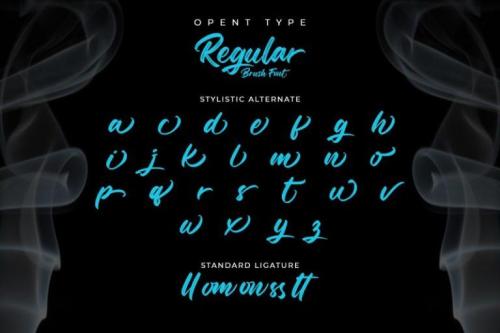 Regular Brush Script Font 1