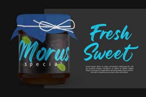 Regular Brush Script Font 7
