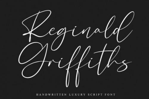 Rellyan Charlotte Handwritten Signature Font 1