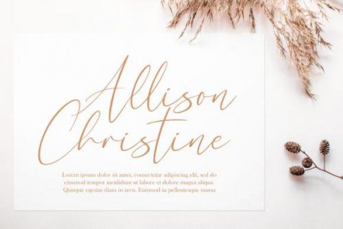 Rellyan Charlotte Handwritten Signature Font 6