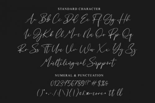 Rellyan Charlotte Handwritten Signature Font 7