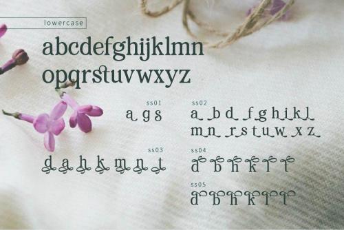 Renda Bold Modern Serif Font  3