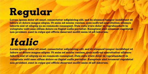 Restrick Display Font 4