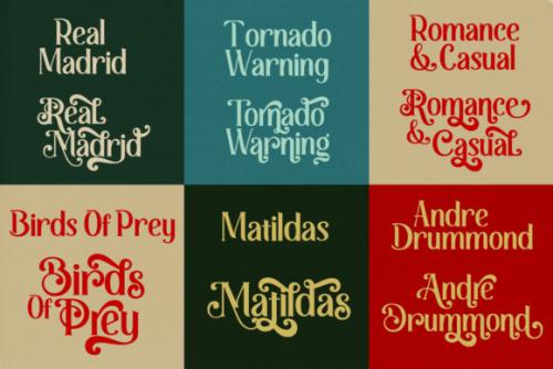 Retrophilia Bold Serif Font 6