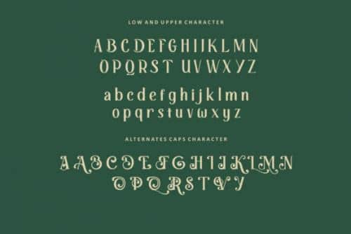 Retrophilia Bold Serif Font 8