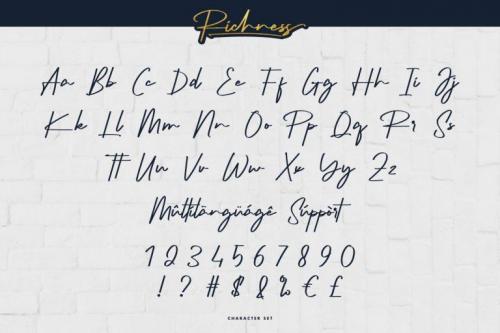 Richness Signature Script Font 3