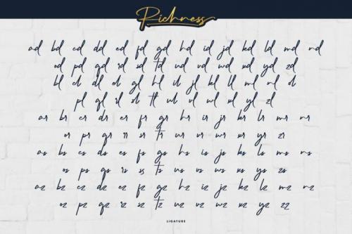 Richness Signature Script Font 5