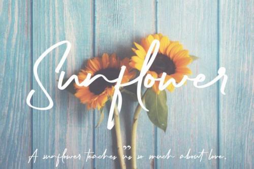 Richness Signature Script Font 8