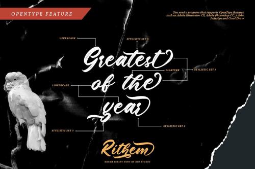 Rithem Brush Script Font 6