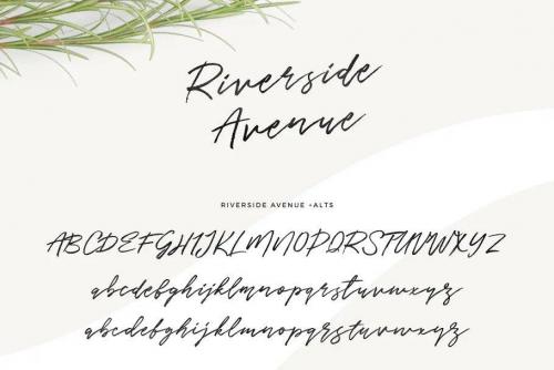 Riverside Avenue Script Font Free 7