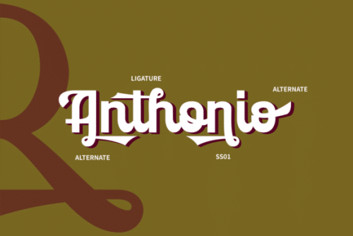 Rolanda Script Font 5