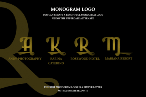 Rolanda Script Font 8