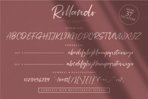 Rollando Script Font 8