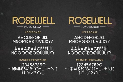 Rosewell Script Font 10