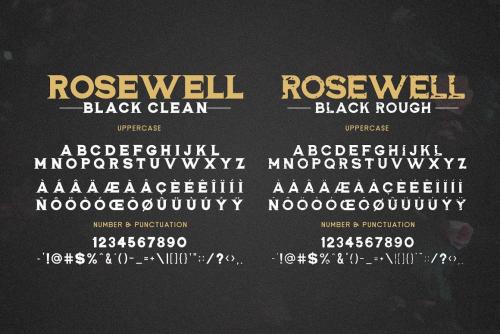 Rosewell Script Font 8