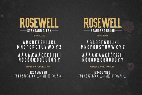 Rosewell Script Font 9