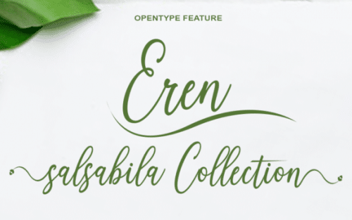 Royallisa Calligraphy Font 3