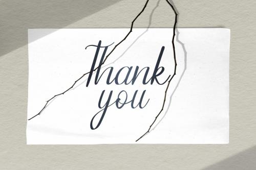 Rubicela Calligraphy Font 9