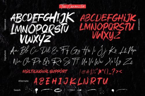 Rushink Brush Font 6
