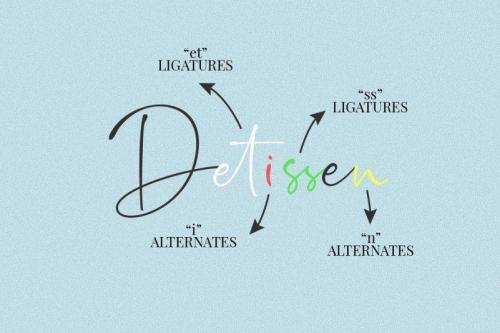 Rushtick Signature Font 1