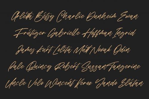 Sabrionte Script Font 5