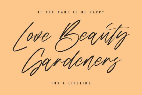 Sabrionte Script Font 7
