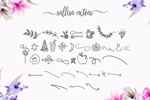 Sallisa Script Font 10