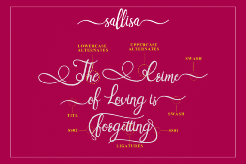 Sallisa Script Font 7