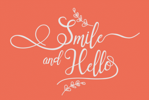 Sallisa Script Font 9
