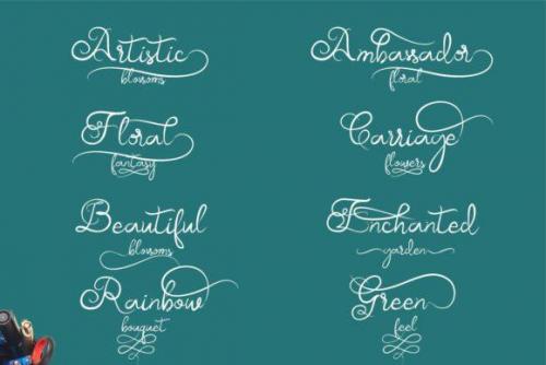 Samball Script Font 14