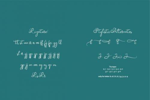 Samball Script Font 7