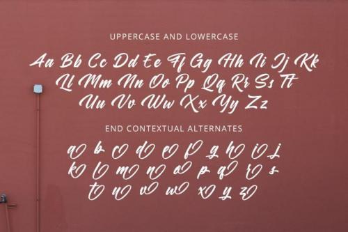 Samble Trice Brush Font 4