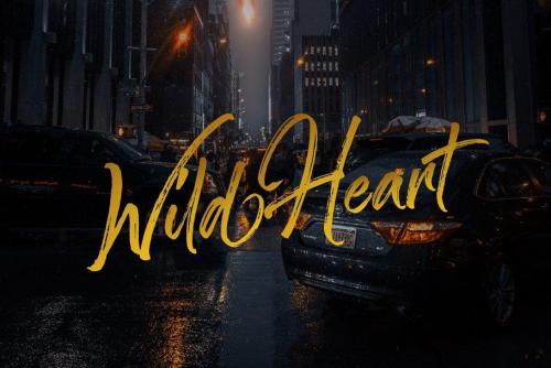 Sandbrush Brush Font Free Download 1