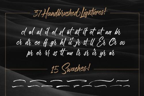 Sandbrush Brush Font Free Download 9