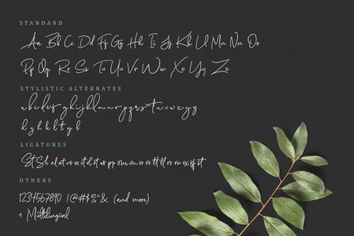 Scarlette Signature Font 10