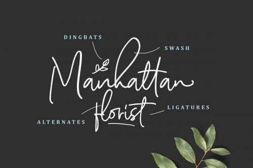 Scarlette Signature Font 14