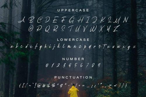 Scout Beach Handwritten Brush Font 5