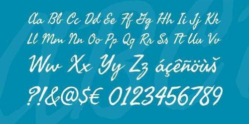 Seaweed Script Font  1