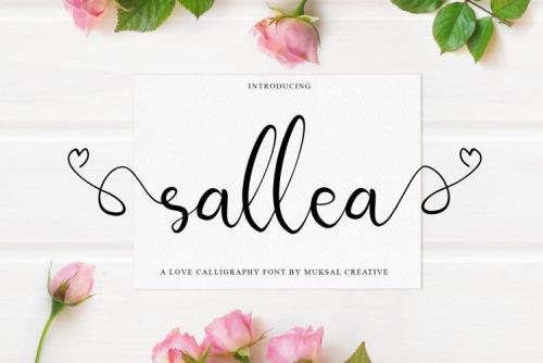 Sellea Modern Calligraphy Font 1