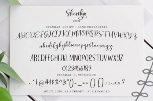 Sherilyn Script Font 4