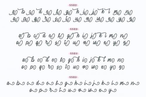 Sherly Shane Script Font 5