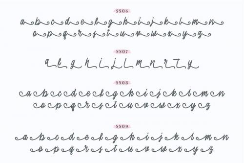 Sherly Shane Script Font 6