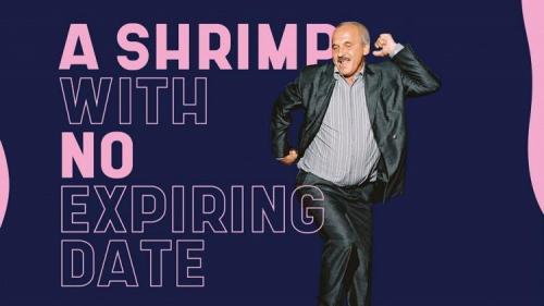 Shrimp Typeface 2